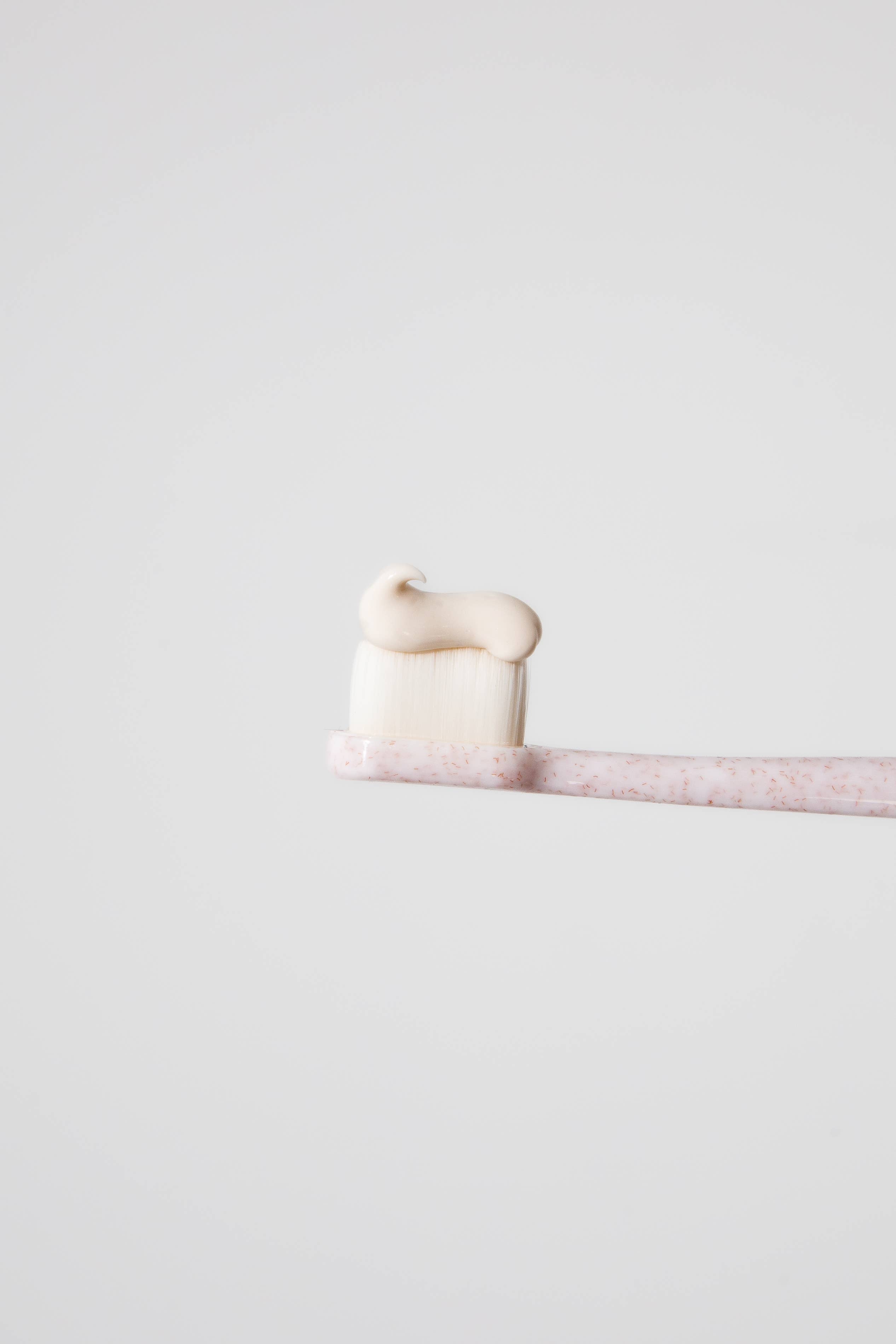 Puppy Polisher Eco Toothbrush - Medium