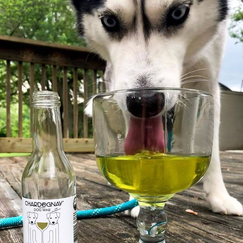PetWineShop DogWine CharDOGnay Liquid Supplement