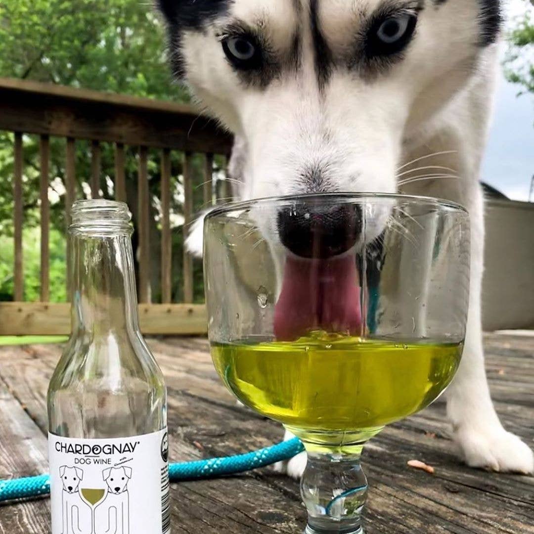 PetWineShop DogWine CharDOGnay Liquid Supplement