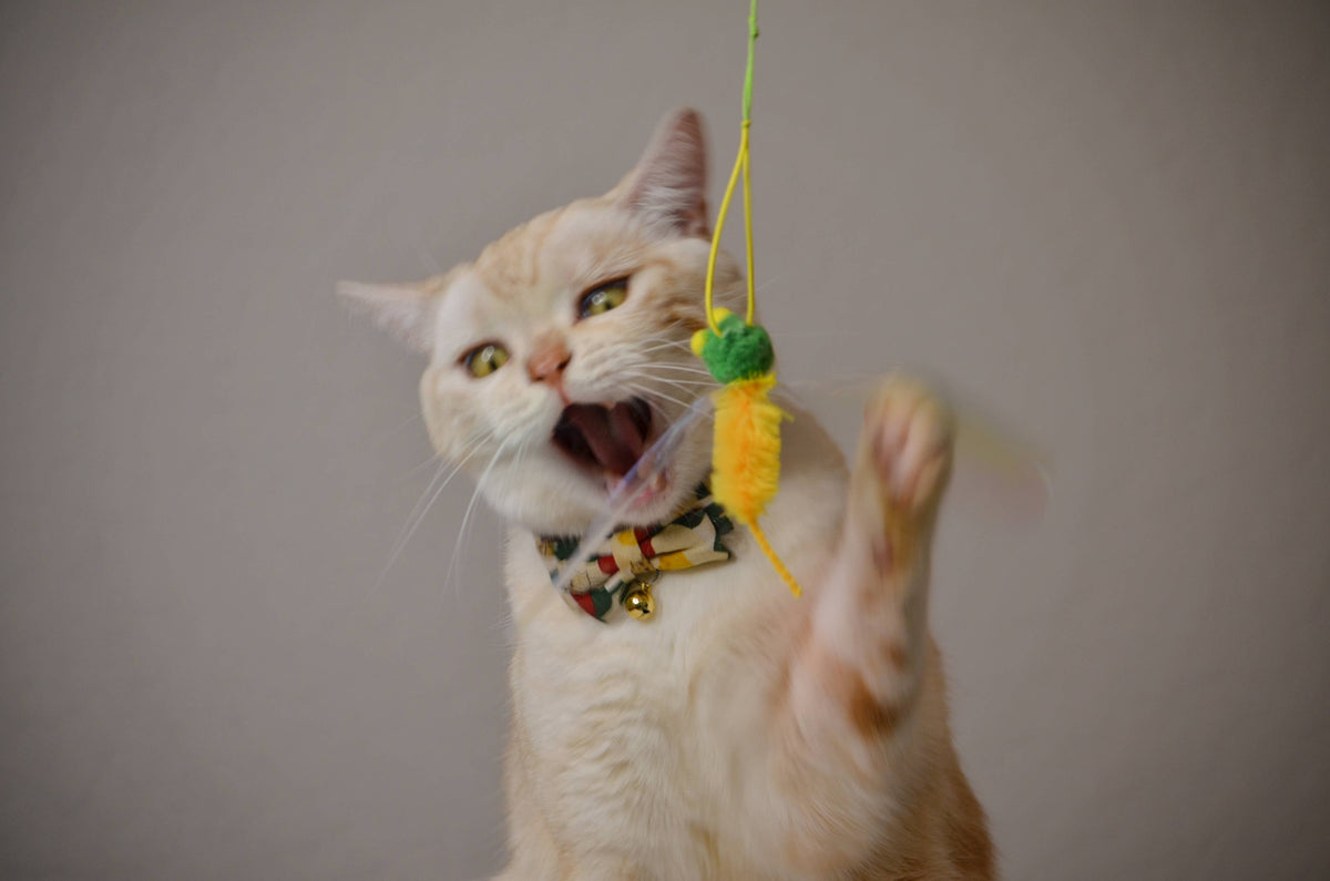 Crinkly Critters Bouncy Bee Adjustable Cat Wand