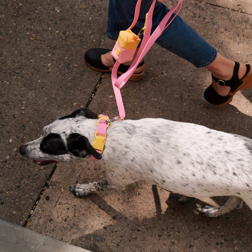 The Fritz Dog Leash | Leash wit Handle | Multi Dog Leash
