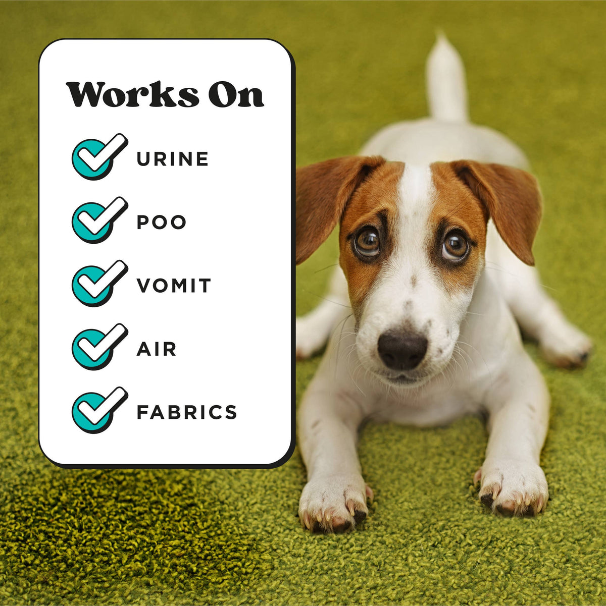 Pet~Pourri Pawsitively Fresh Air+Fabric Odor Refresher 16oz