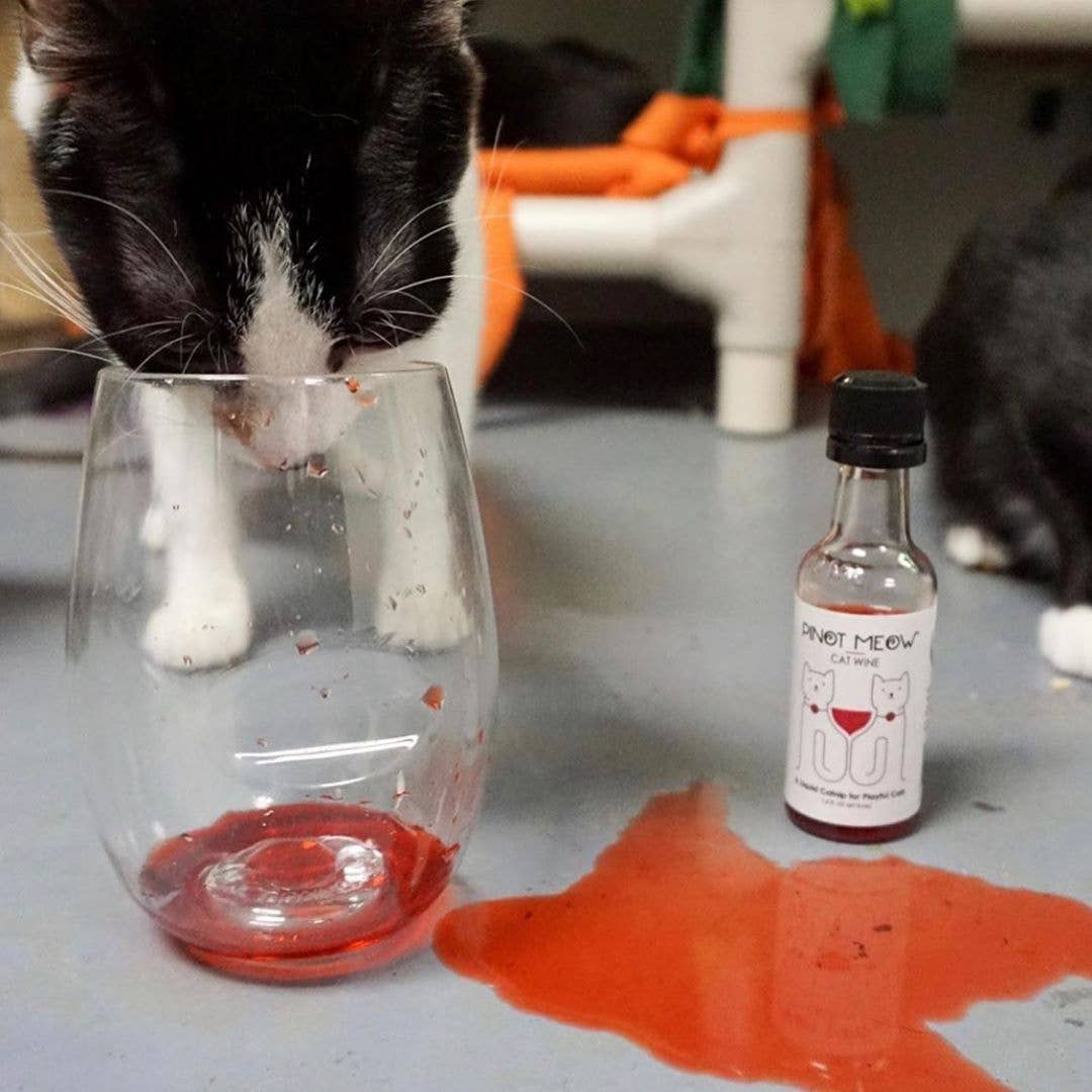 PetWineShop Cat Wine Pinot Meow Liquid Catnip For Cats