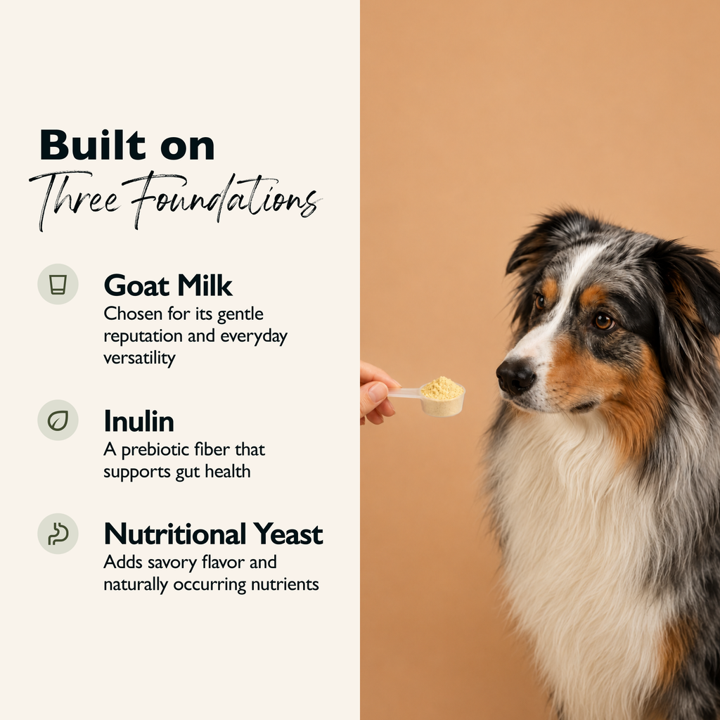 Goat Milk Dog Topper – Pumpkin & Chamomile | Gut-Friendly