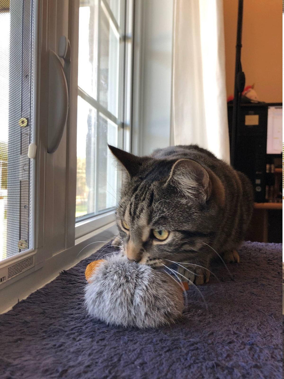 Gunner Cat Toy (GCT-111)