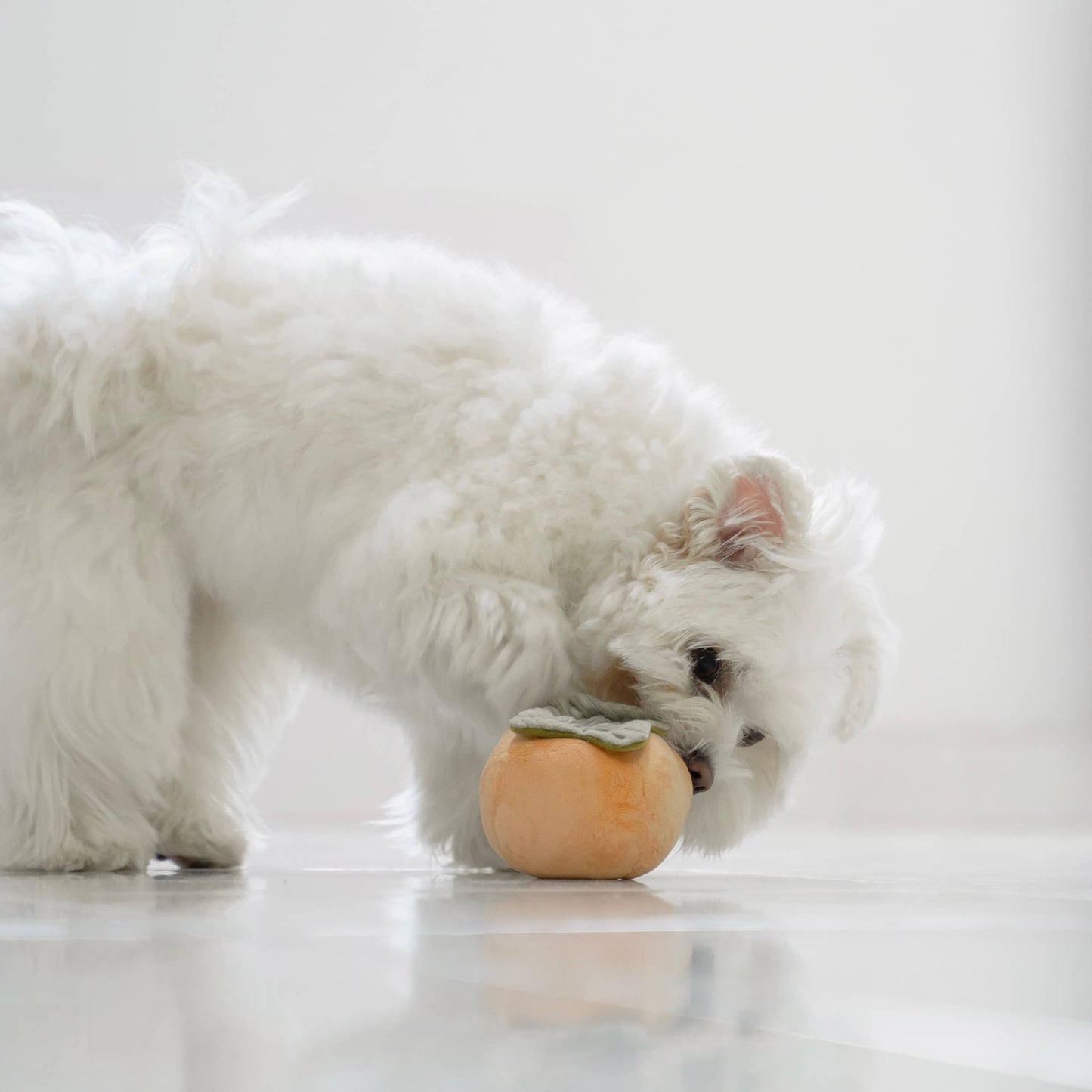 FRUIT SET // ENRICHMENT DOG TOY // SNUFFLE TOY SET