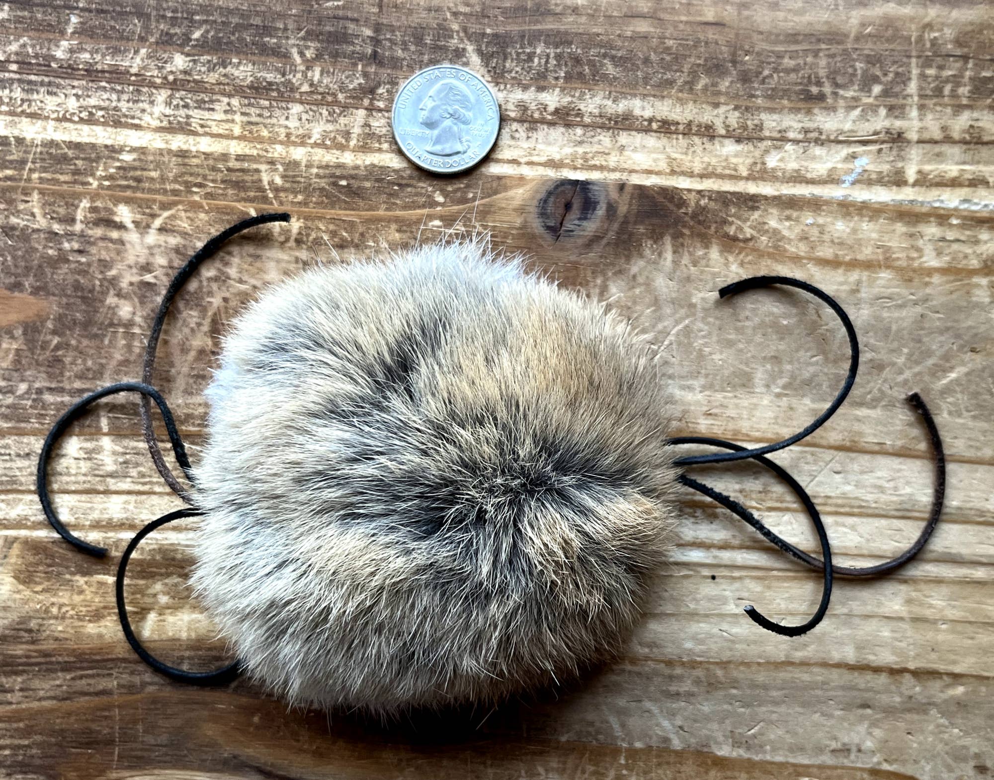 Furwhisker Cat Toy (FWCT-020)