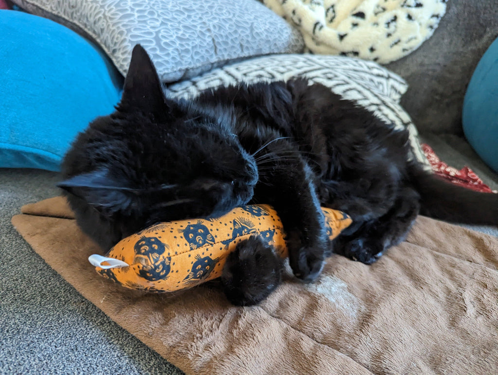 Catnip with Valerian Root Cat Toy | Halloween Black Cat