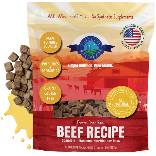Freeze Dried Beef Recipe for Dogs