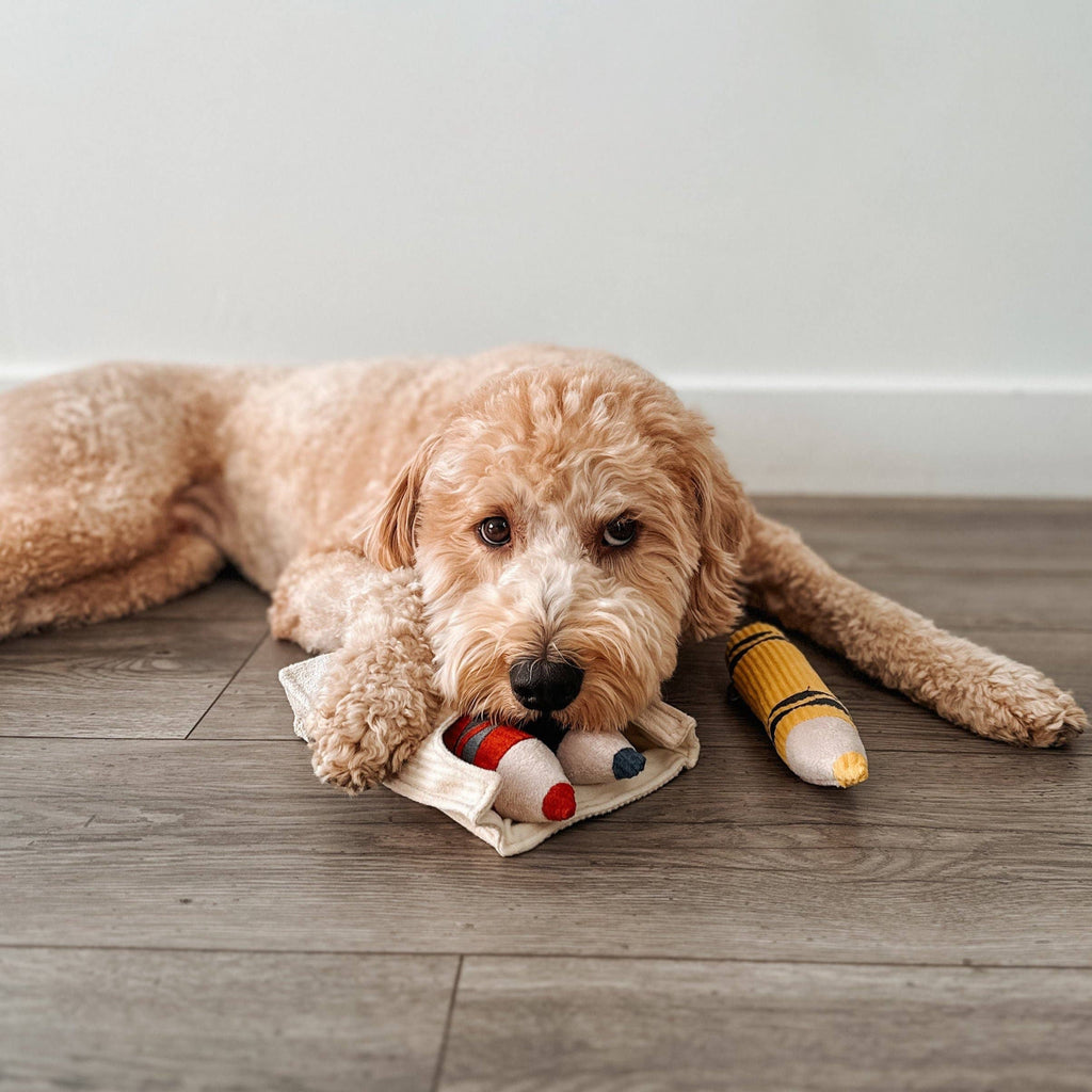 CRAYONS // ENRICHMENT DOG TOY // Squeaky + Snuffle Set
