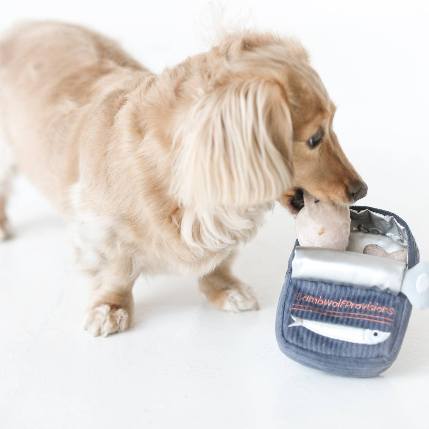 SARDINES // ENRICHMENT DOG TOY // Squeaky + Snuffle Toy