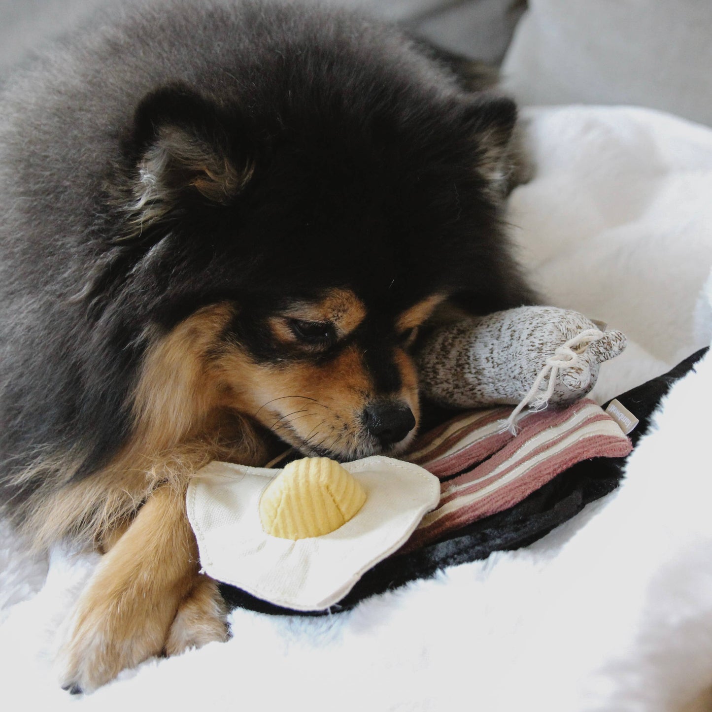 Bfast Set // ENRICHMENT DOG TOY // SNUFFLE TOY SET