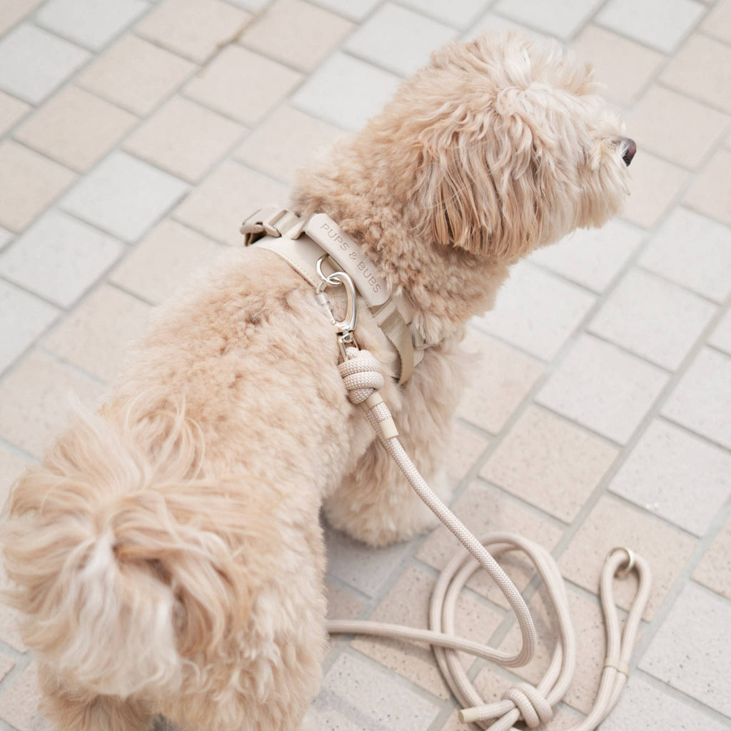 Rover Harness | Ultra Comfort Fabric