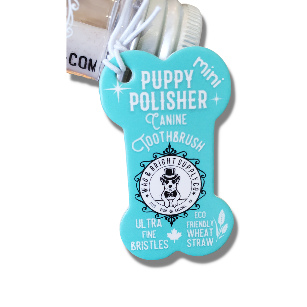 Puppy Polisher Mini Eco Toothbrush - Mini (Small)