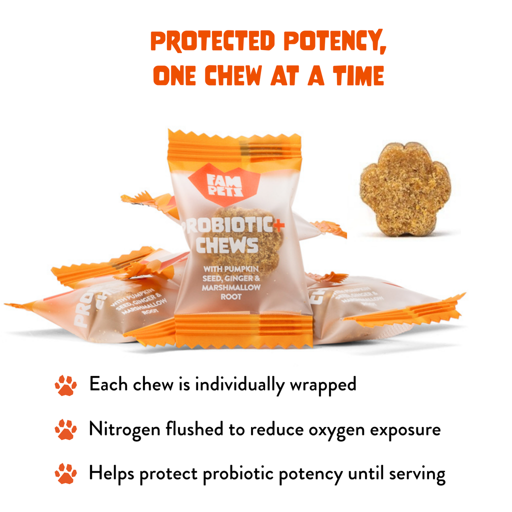 Probiotic+ Soft Chews for Dogs - Digestive Support, Gut Health