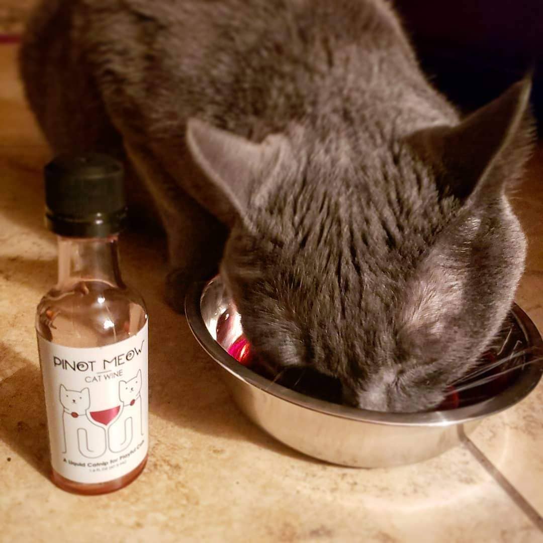 PetWineShop Cat Wine Pinot Meow Liquid Catnip For Cats