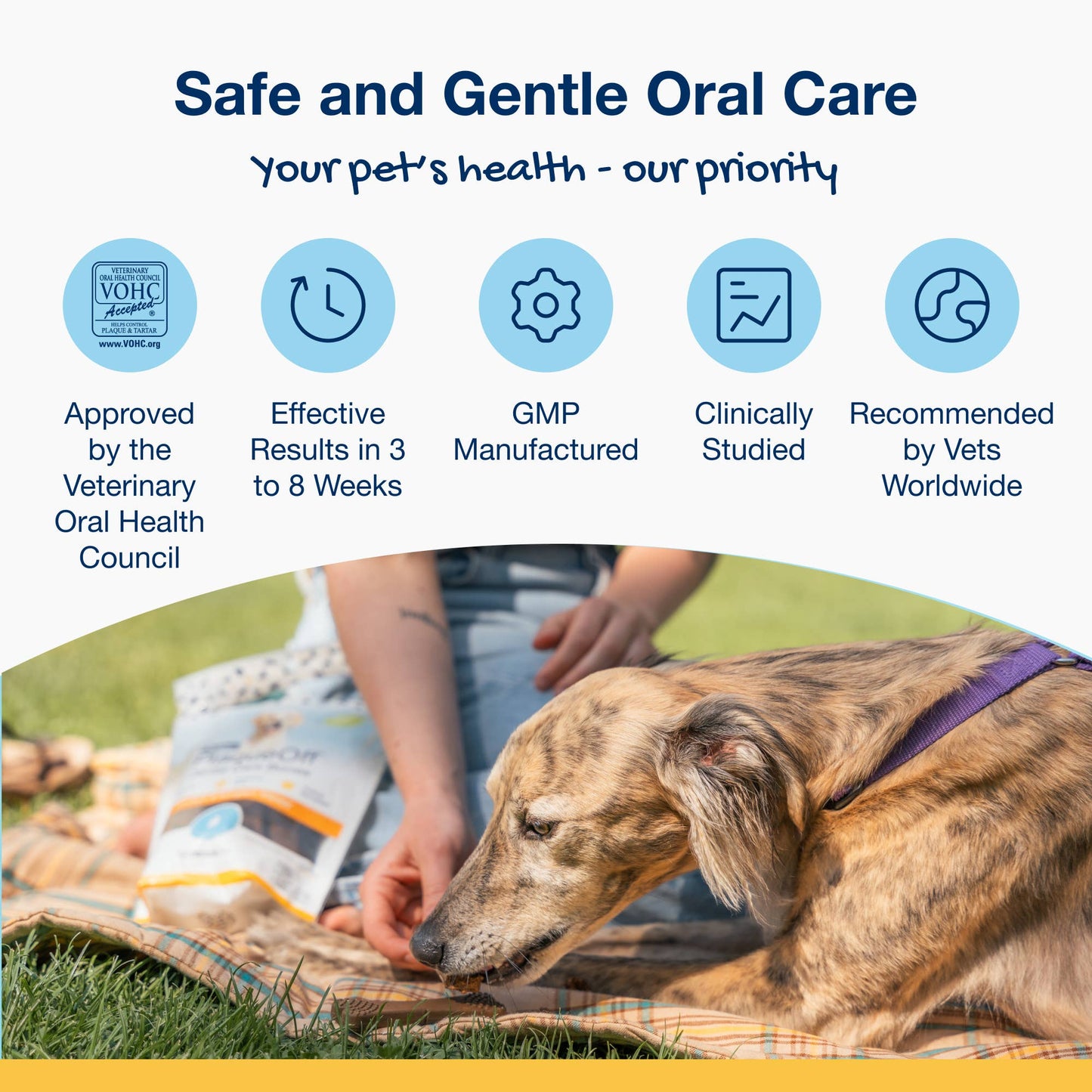 ProDen PlaqueOff® Dental Care Bones - Natural Bacon