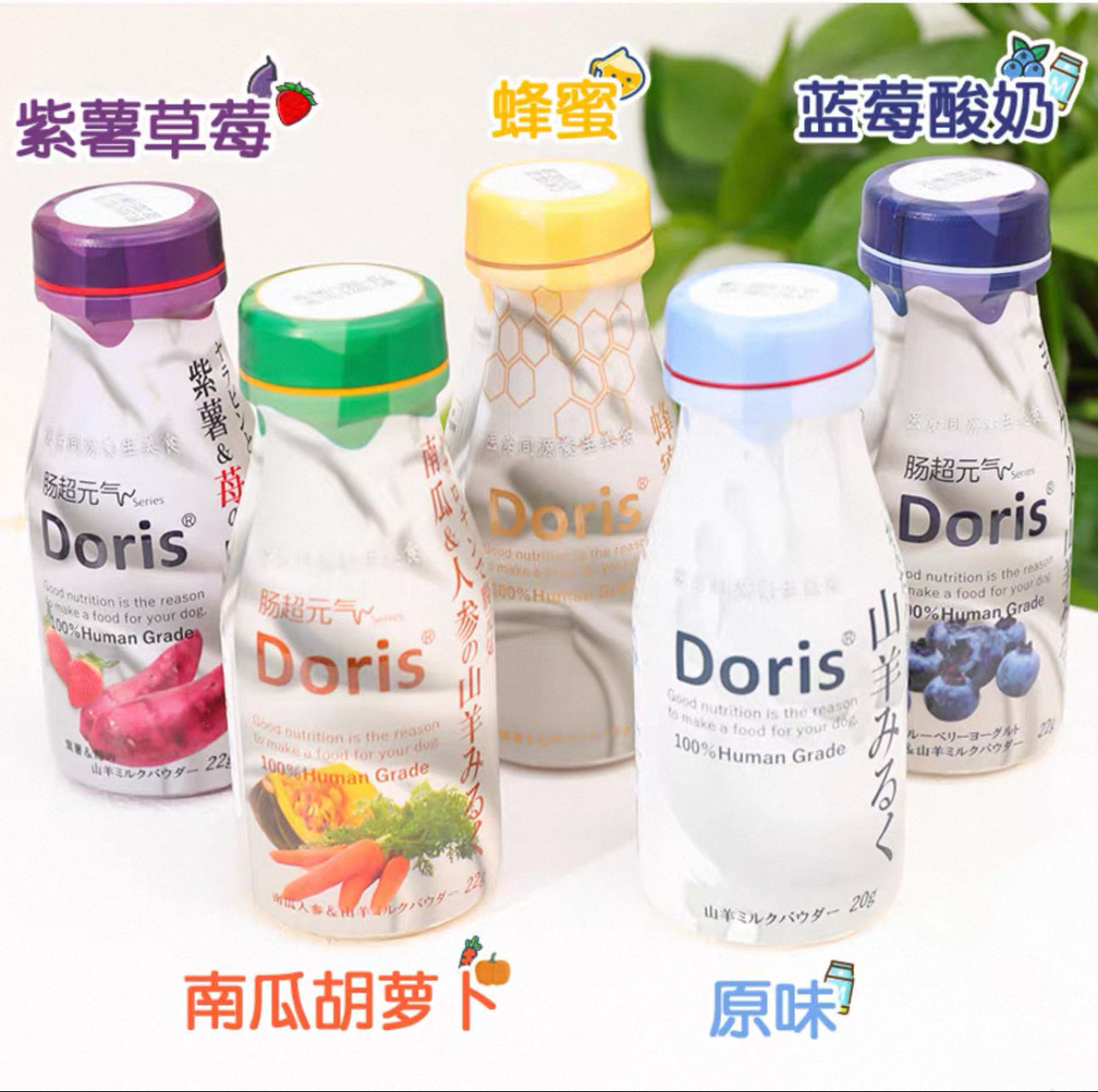 Doris Goat Milk Powder