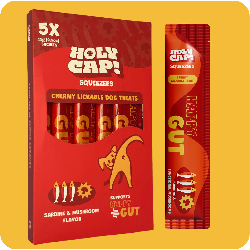 HOLY CAP Squeezees (DOG) Happy Gut Lickable Treats, 5pc