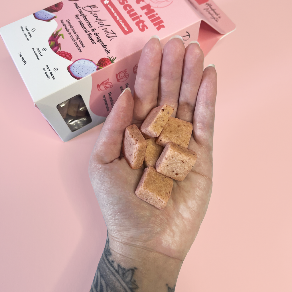 Goat Milk Dog Treats — Dragonfruit & Raspberry (Limited)