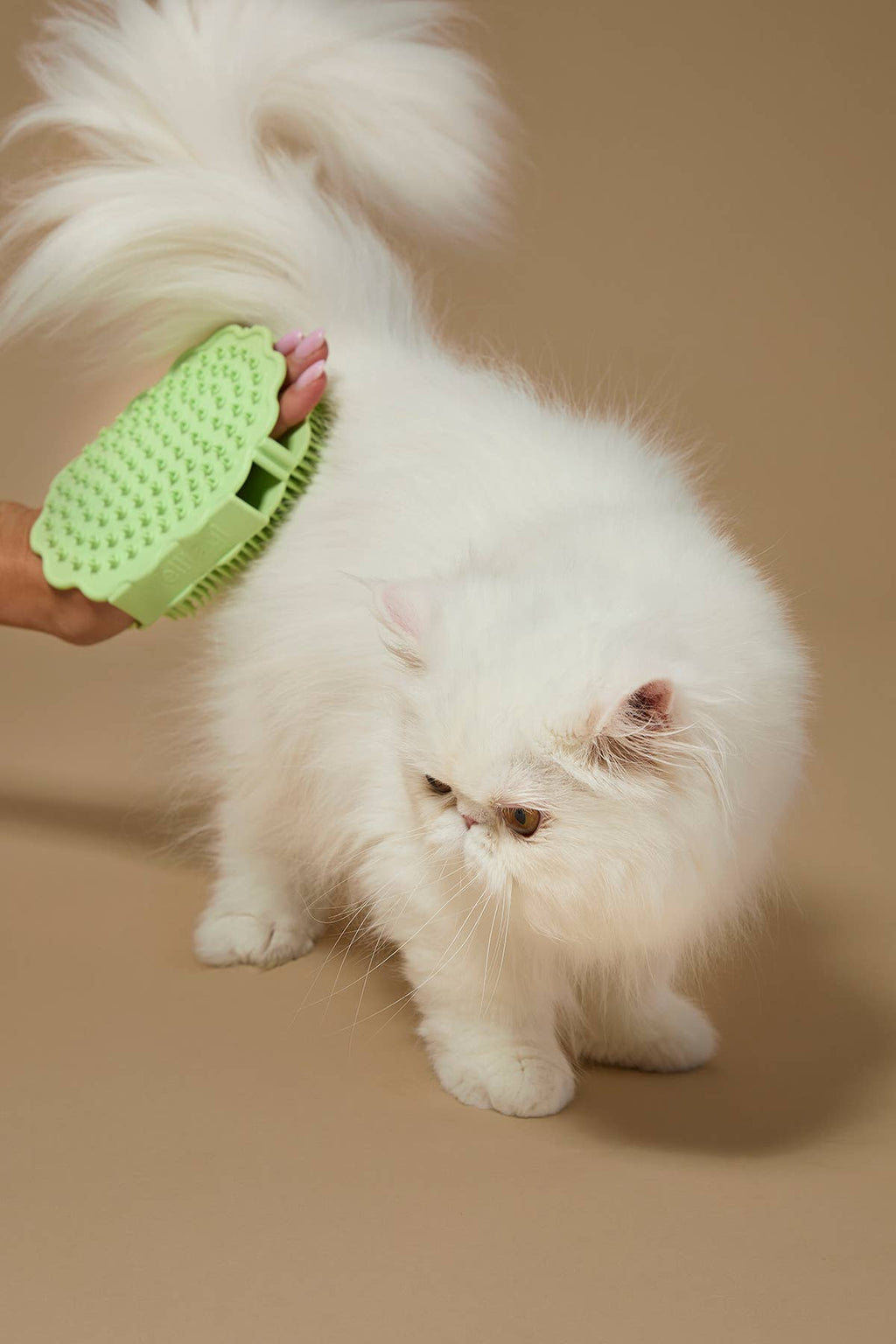 Dog Bath Brush(Cat Safe)