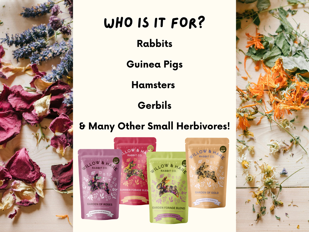 Garden Forage Blend - Multiple Sizes Available!