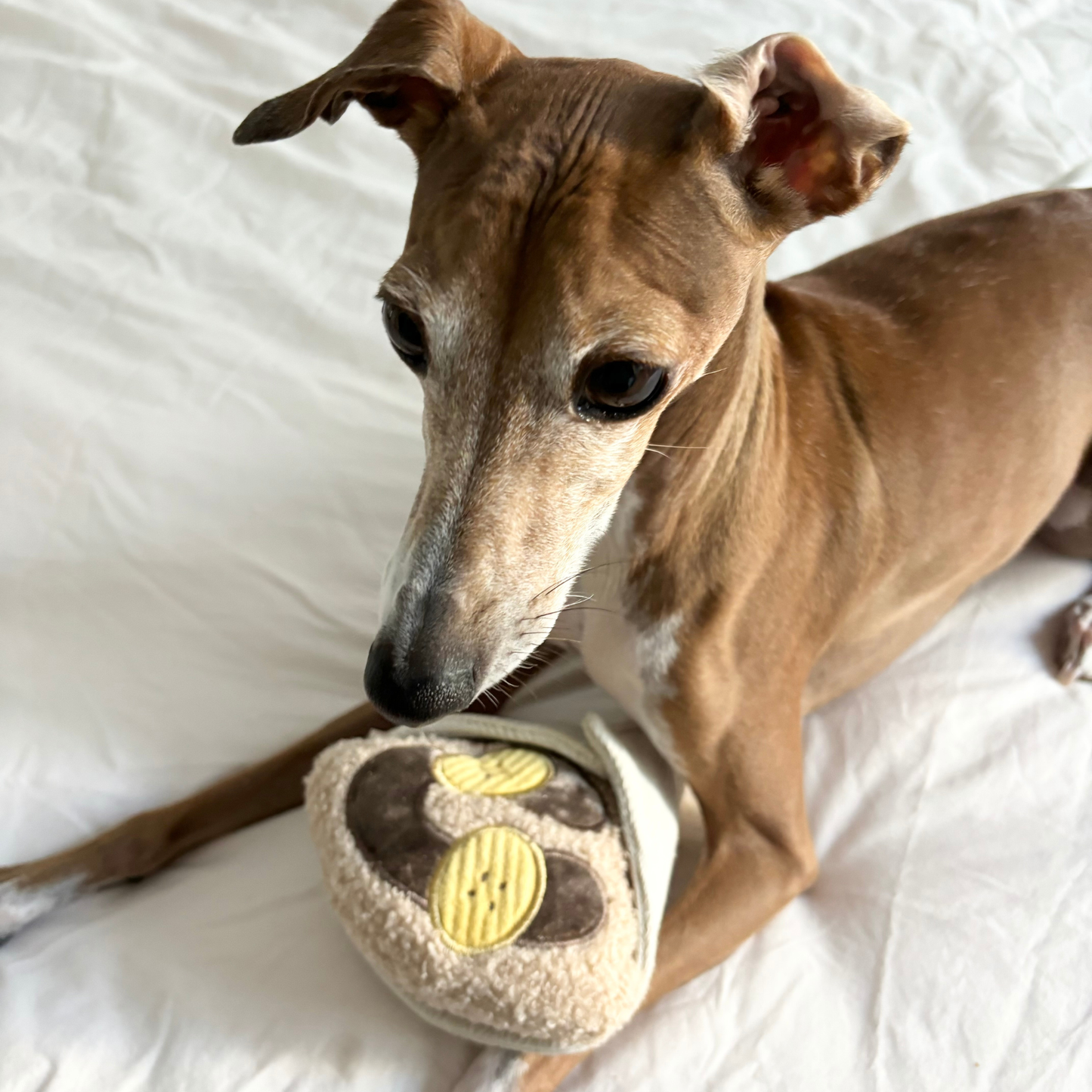 CREPE // ENRICHMENT DOG TOY // SNUFFLE TOY