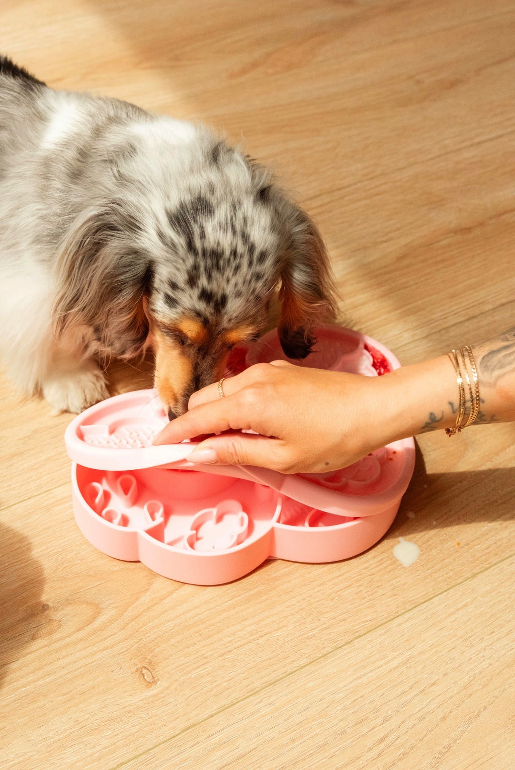 Ollie B Good Cloud Nine Lick Mat & Lid (preorder)