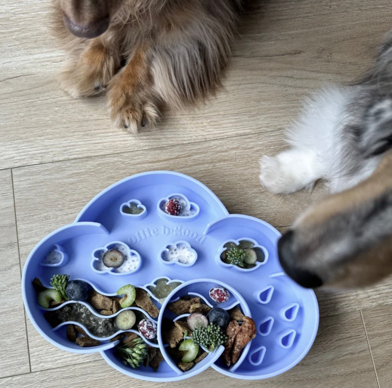 Ollie B. Good Cloud Slow Feeder Bowl