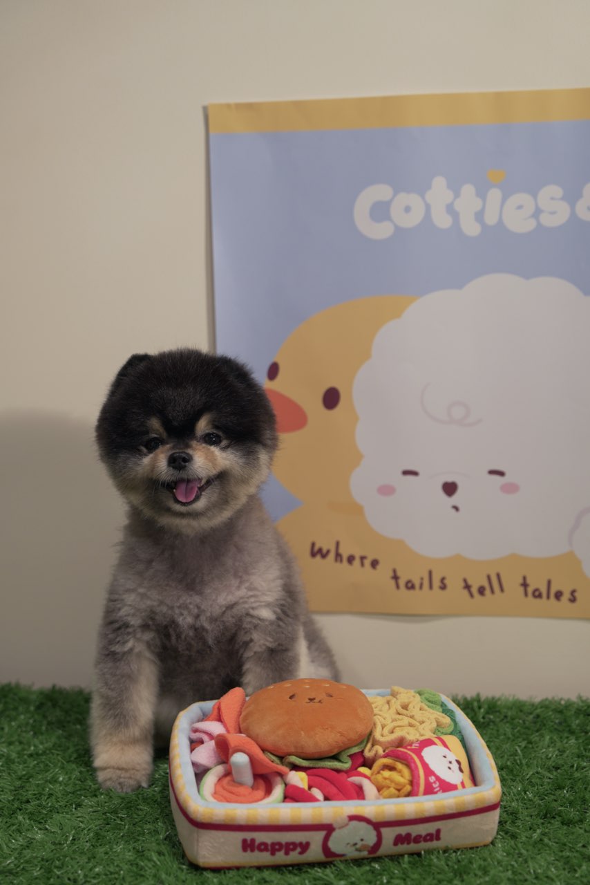 Cotties & Co Burger Box Snuffle Toy