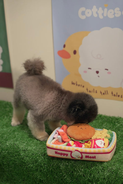 Cotties & Co Burger Box Snuffle Toy