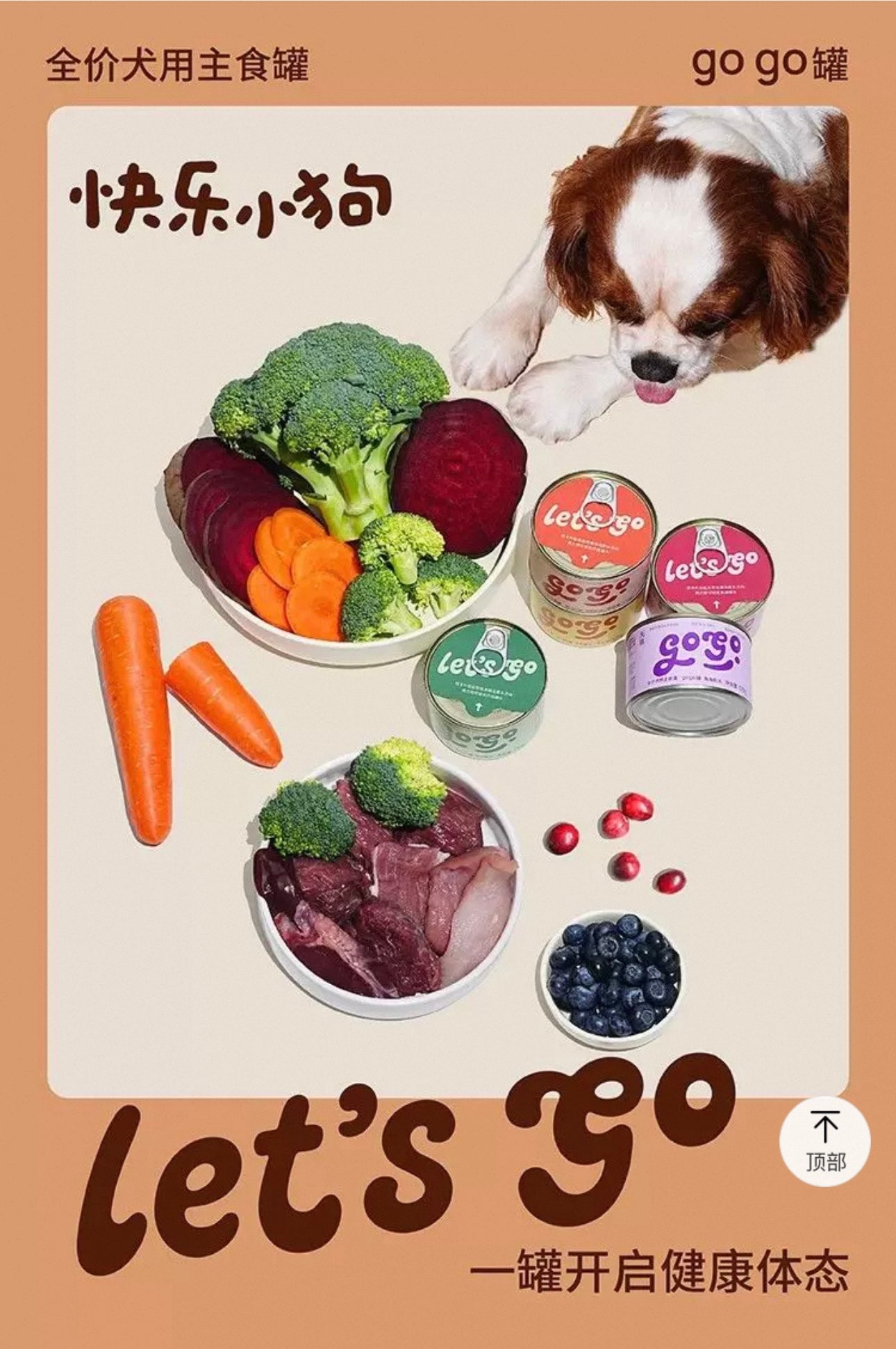 Go Go Can for Dog 170g