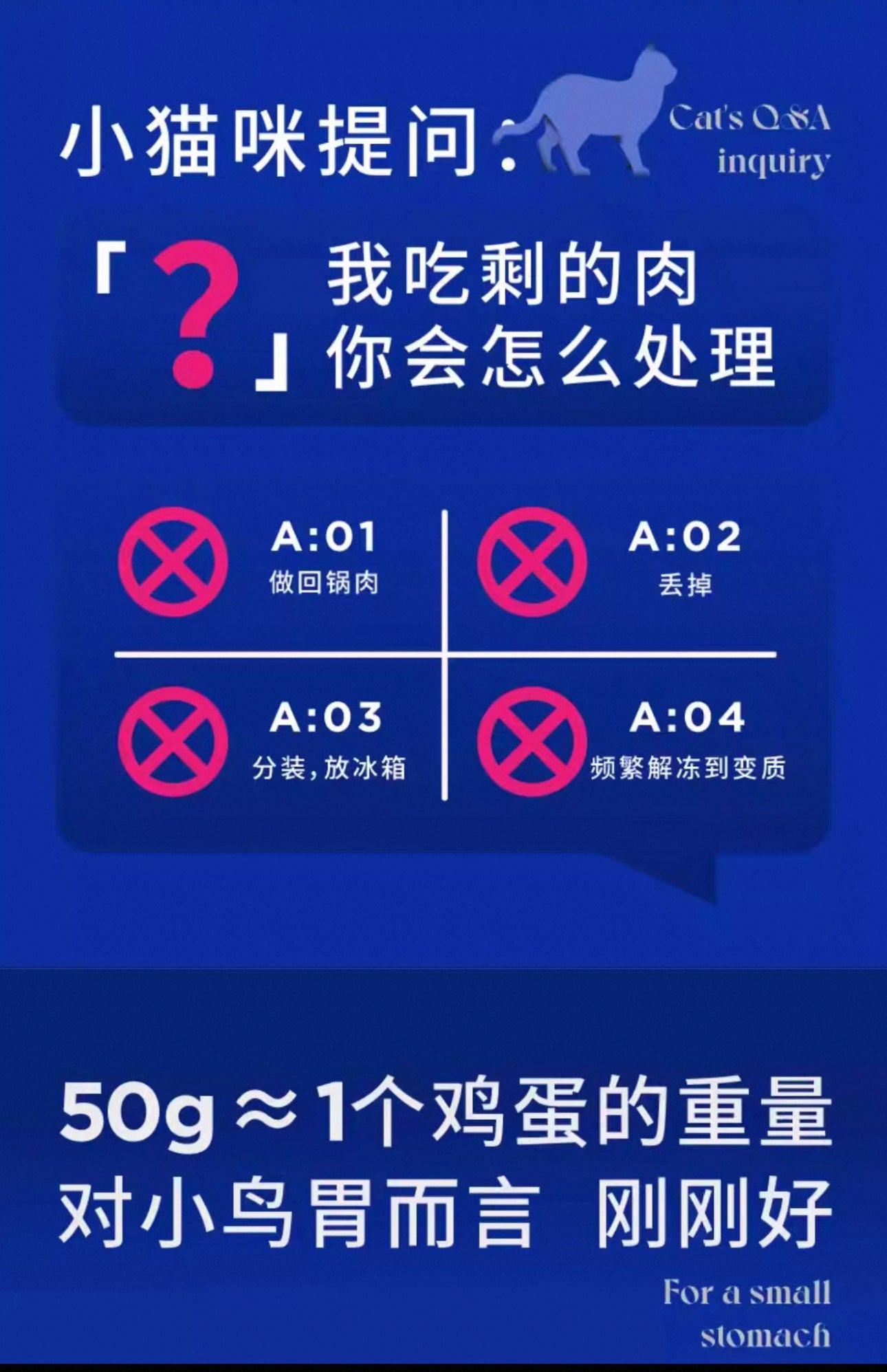 Legend Sandy Complete Cat Food Cute Series 🐱