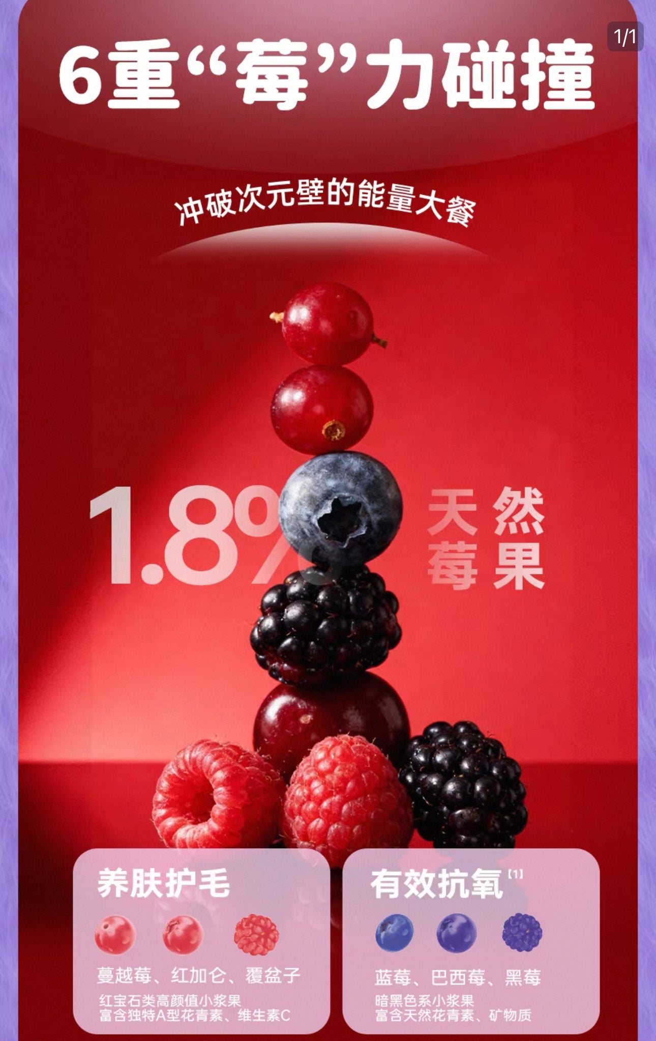 Afei & Zootopia Berry Coconut Wet Cup 🐱