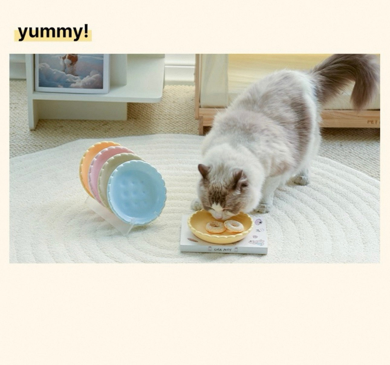 Biscuits Dish