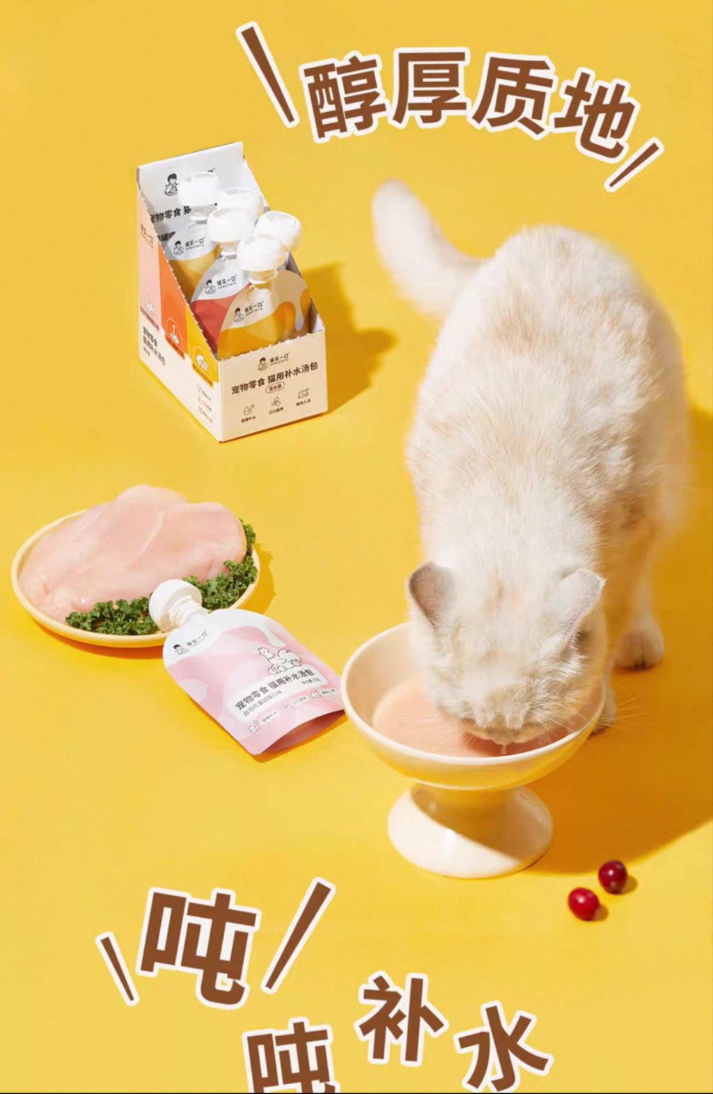 Honest Bite Hydrating Soup🐱