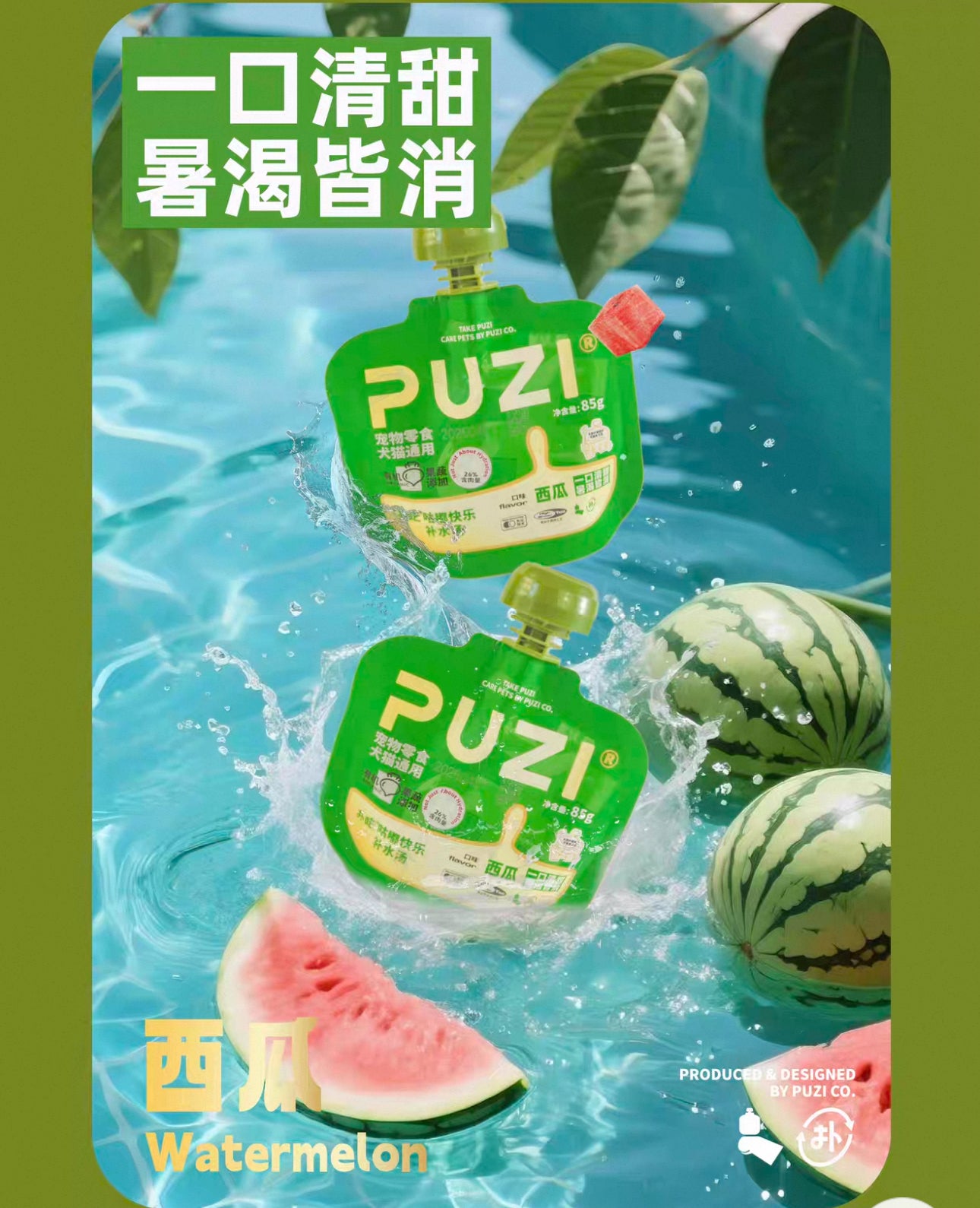 Puzi Hydrating Soup (Summer Edition)🐱🐶