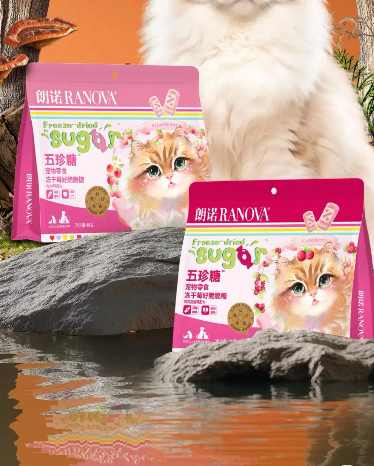 Ranova Freeze Dried Sugar 40g 🐱🐶