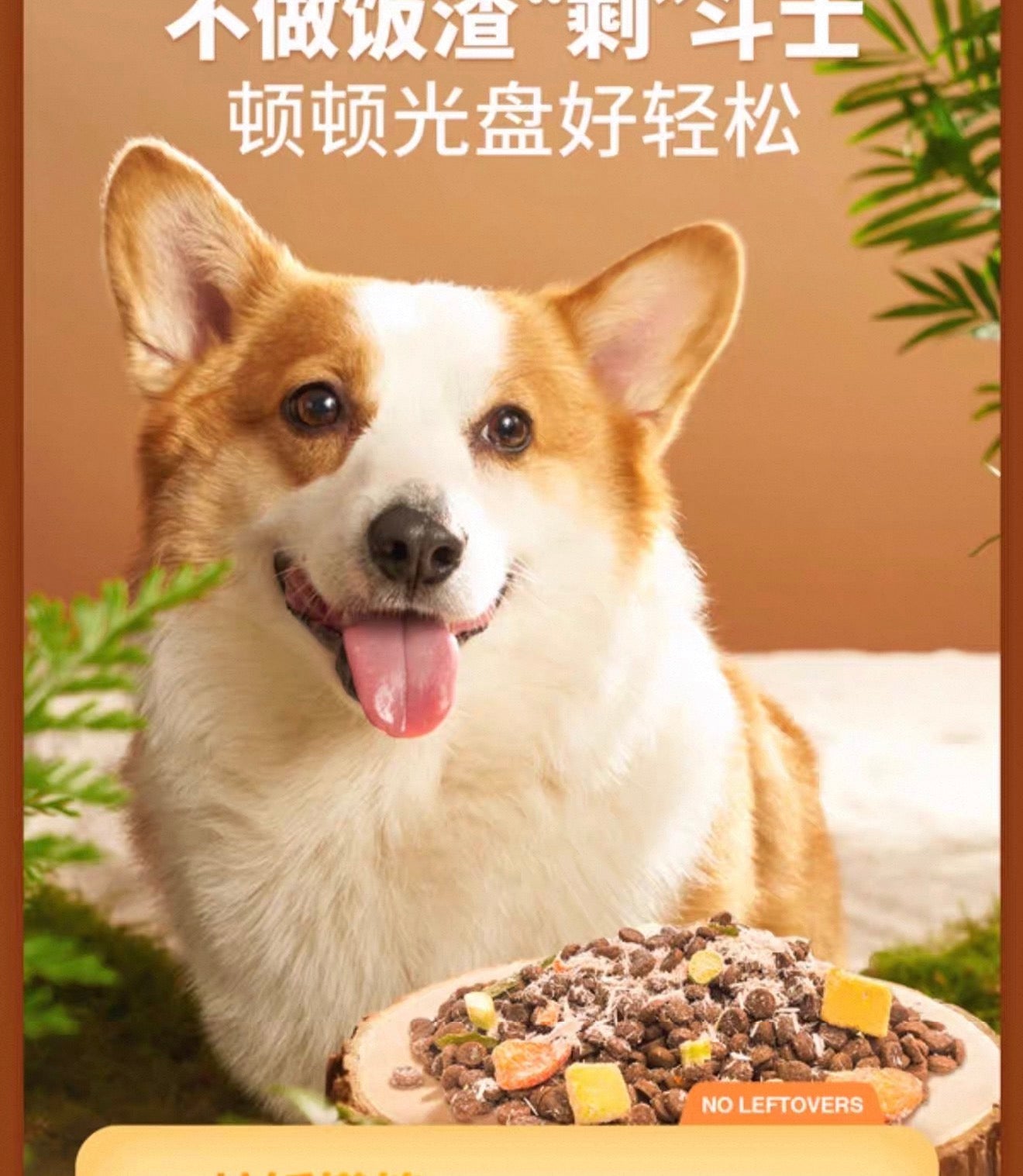 The Cats Travel Freeze Dried Meat Floss 🐶 80g