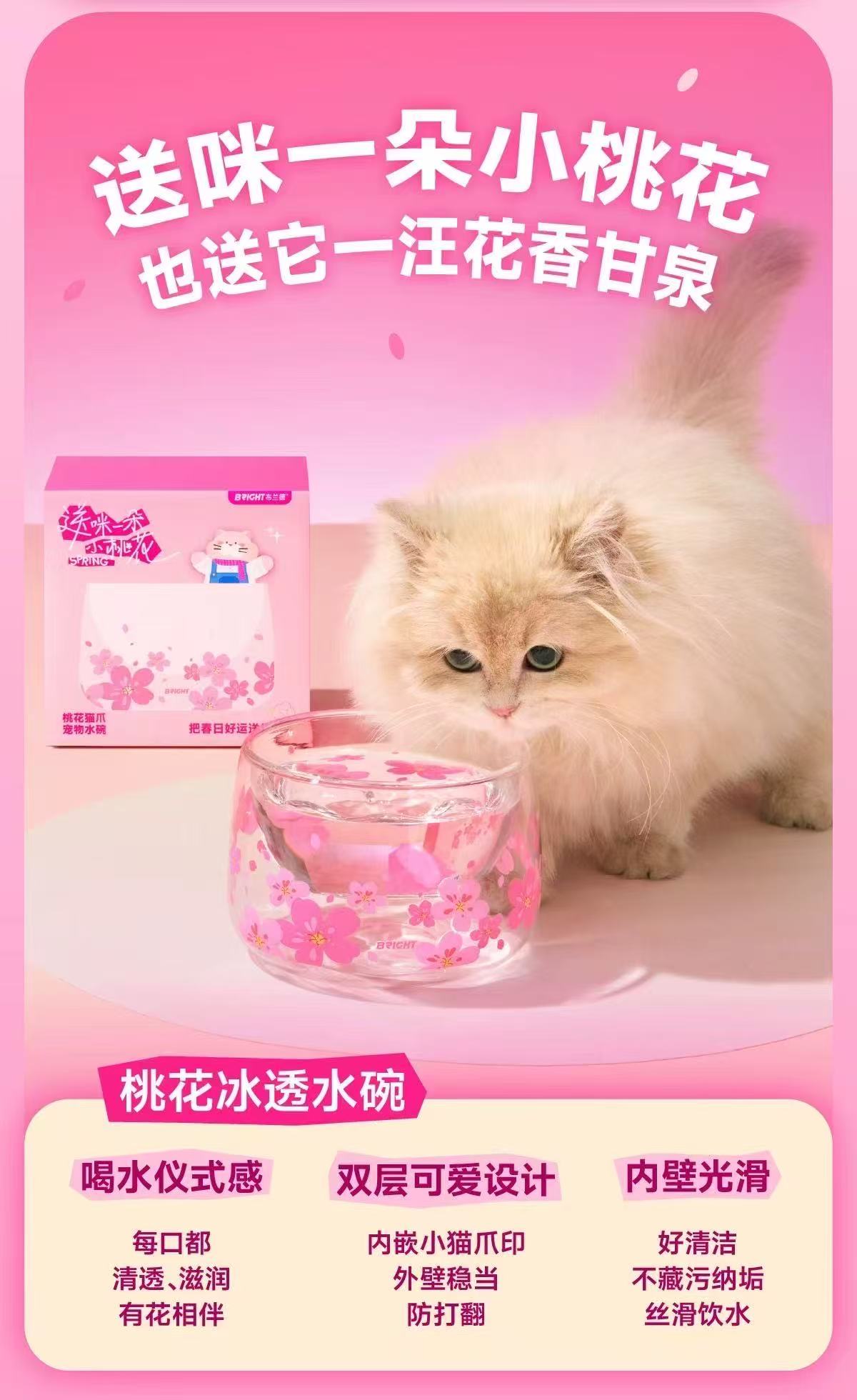 Bright Spring Blossom Limited Edition Set 🐱