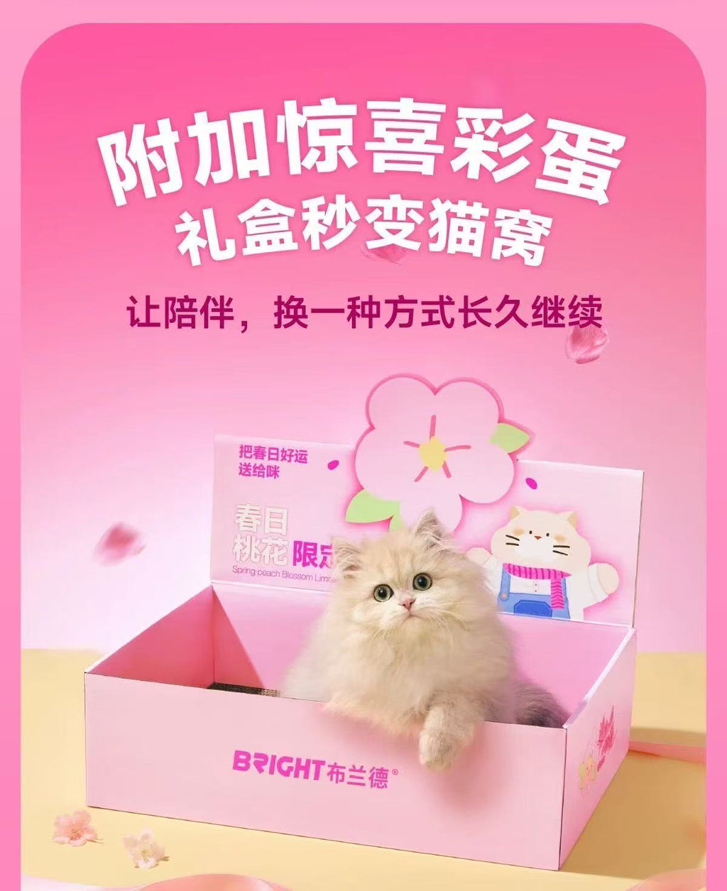 Bright Spring Blossom Limited Edition Set 🐱