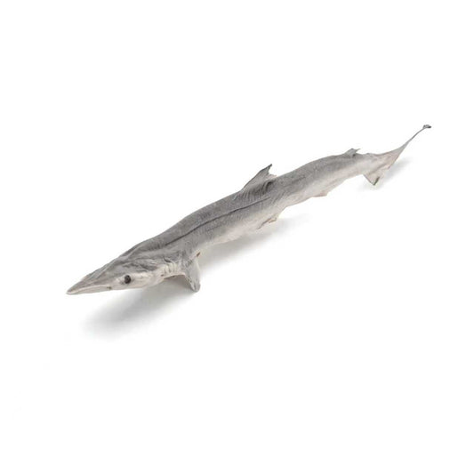 Freeze-Dried Baby Shark 18g