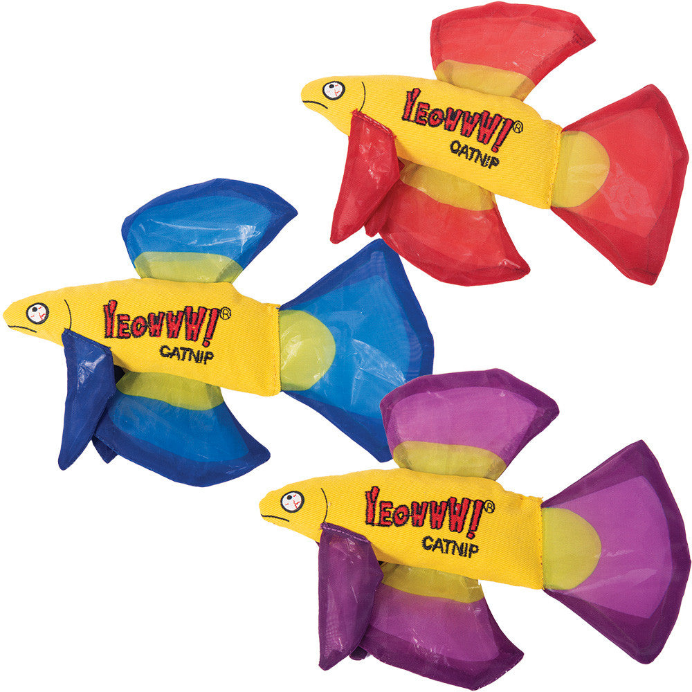 Yeowww! Mo betta Fish