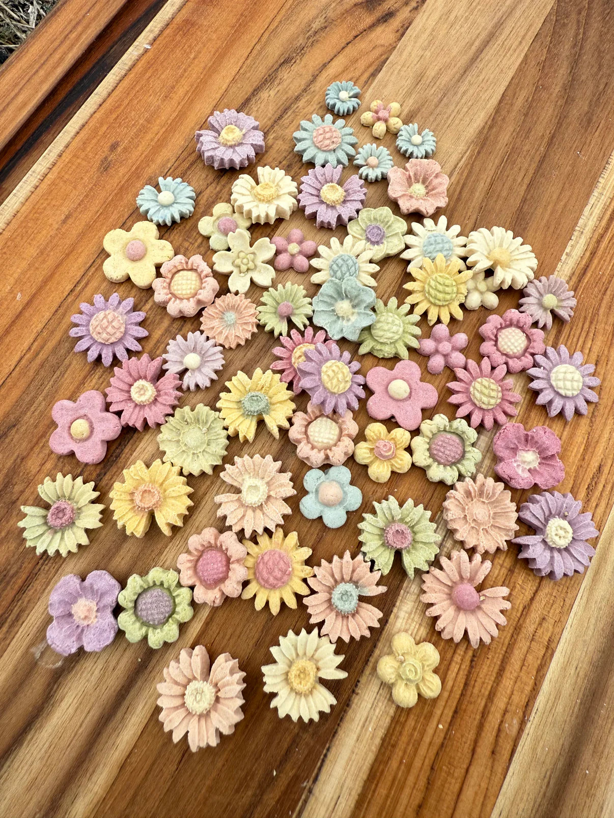 My Mochi Mini Garden Set | Meat Based | Softie | Handcrafted Assorted Designs