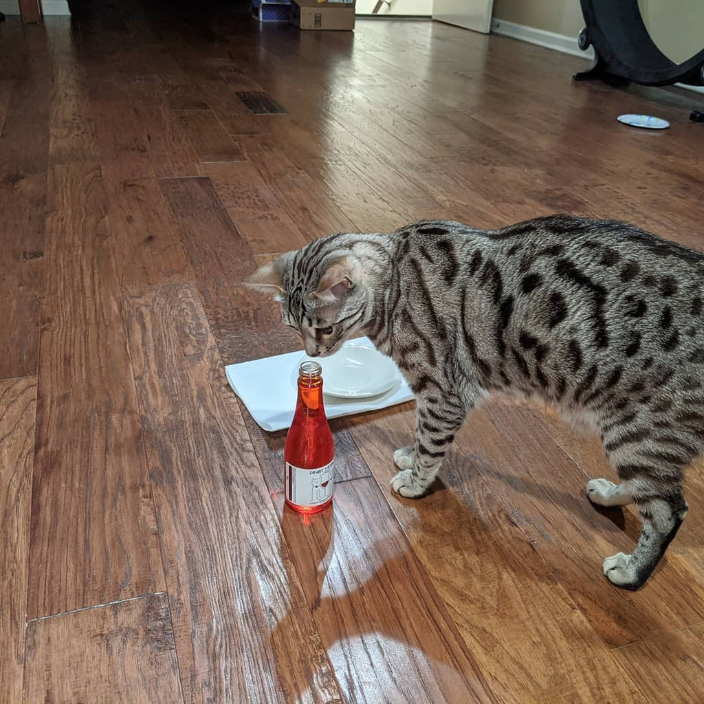 PetWineShop Cat Wine Pinot Meow Liquid Catnip For Cats