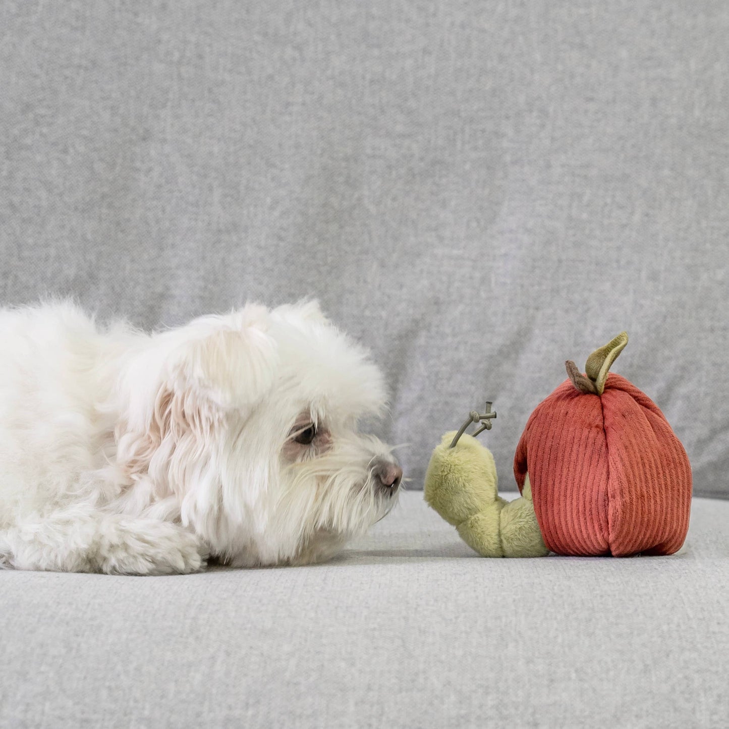 FRUIT SET // ENRICHMENT DOG TOY // SNUFFLE TOY SET