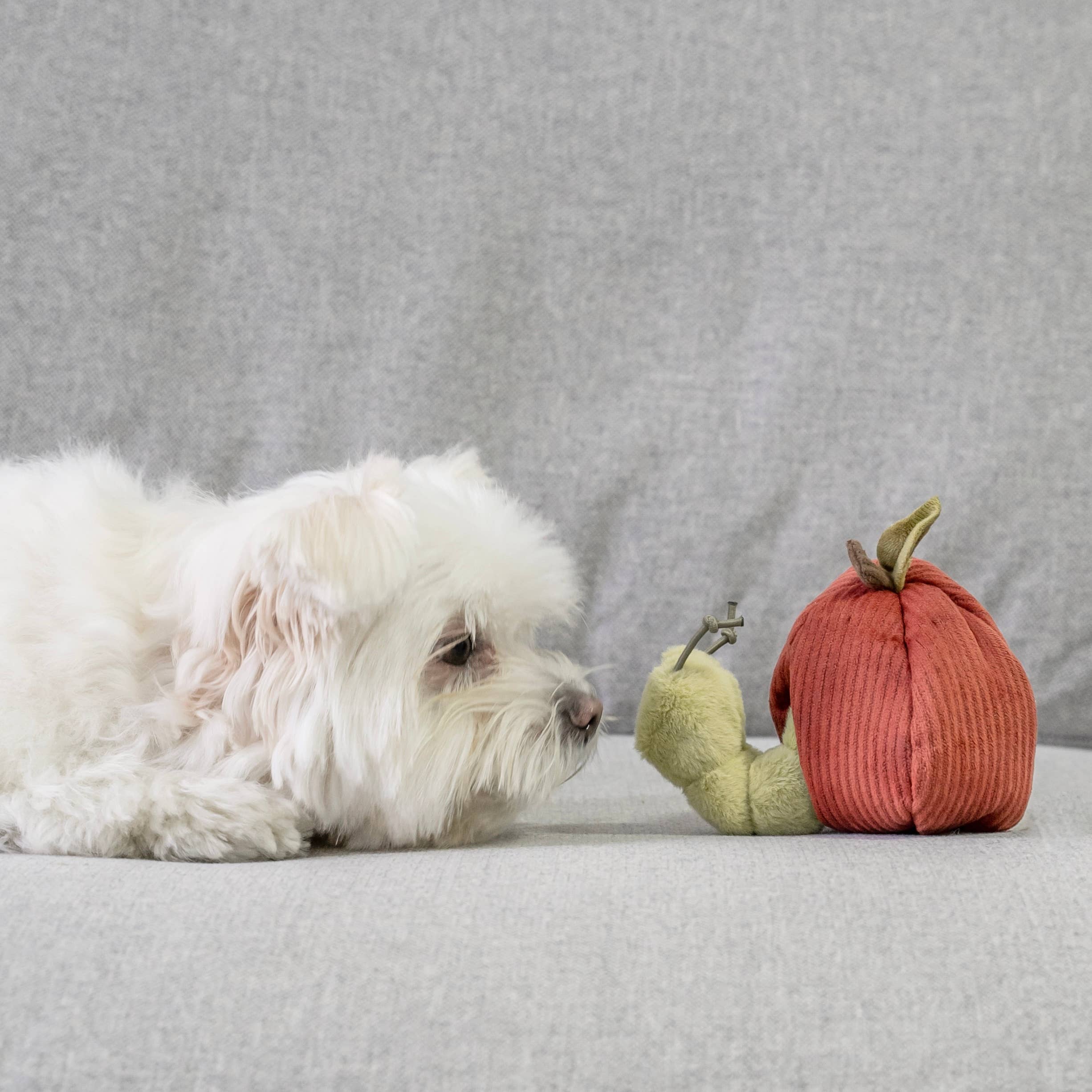 FRUIT SET // ENRICHMENT DOG TOY // SNUFFLE TOY SET