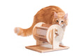 Wheel of Fortune - Pet Toy of the Year - pet treat dispenser