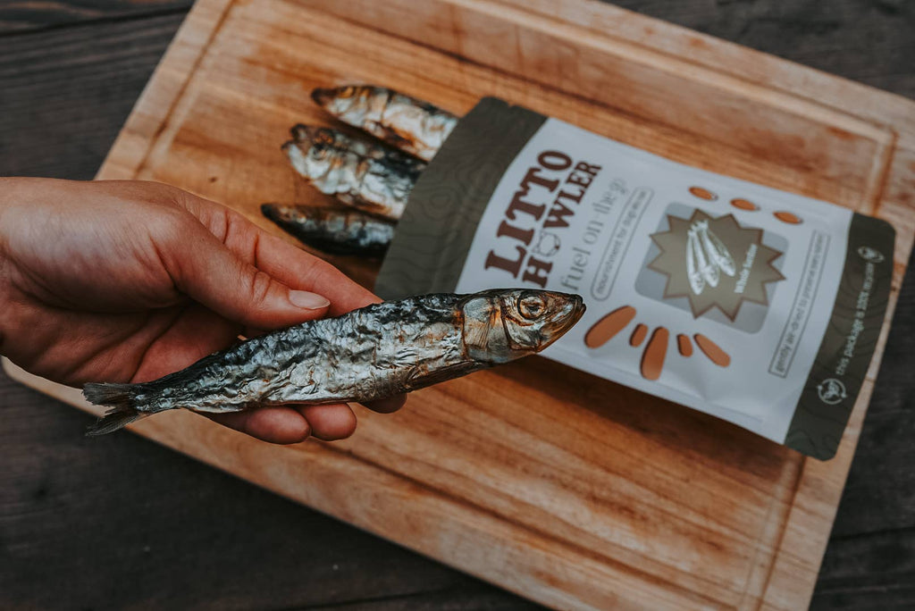 Freeze-Dried Whole Sardines | 3 oz
