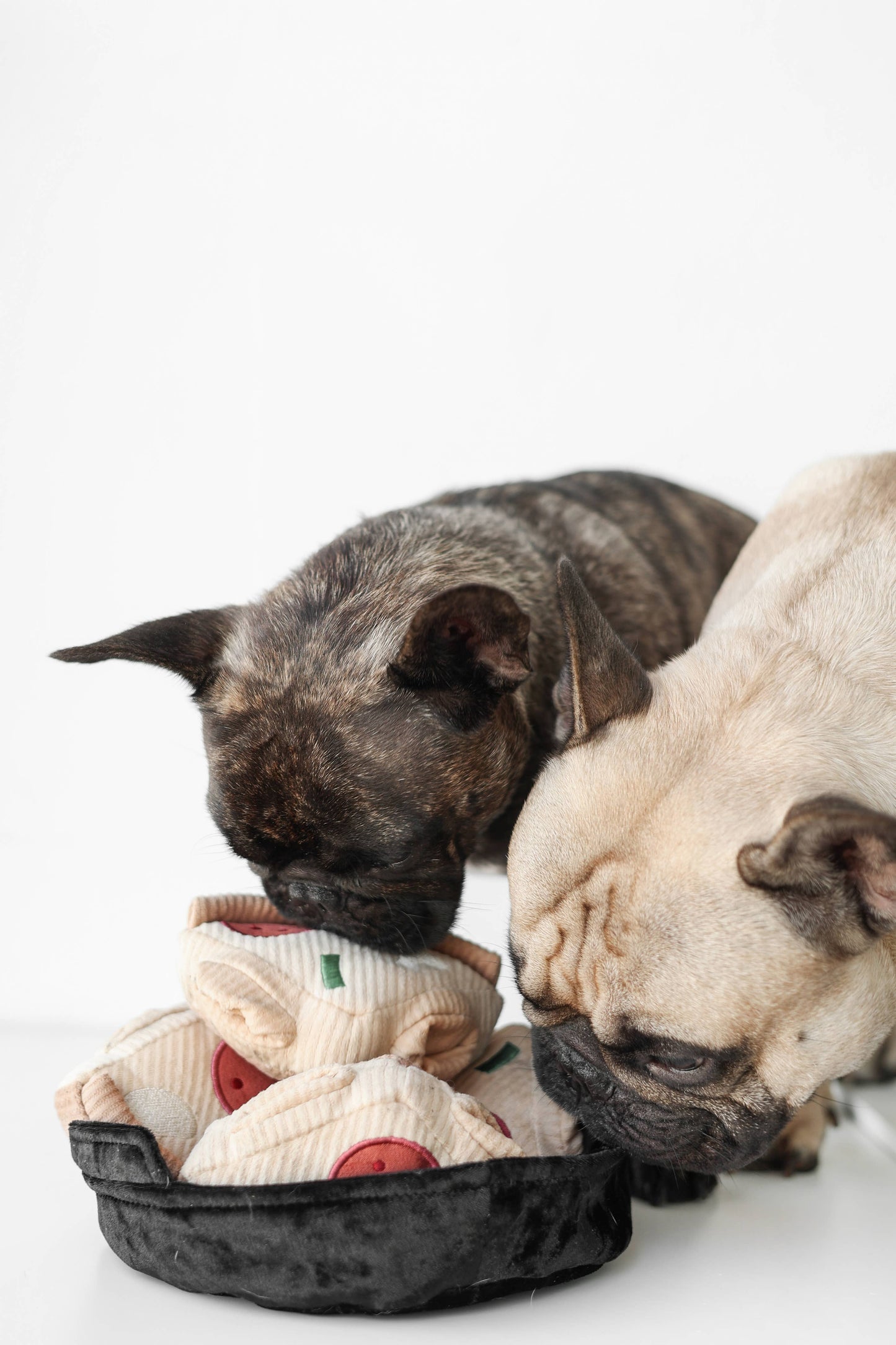 DEEP DISH PIZZA // ENRICHMENT DOG TOY // Squeaky + Snuffle